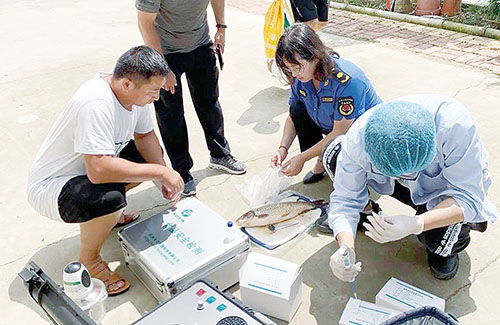 山東萊西市水產(chǎn)服務中心 筑牢漁業(yè)環(huán)境與水產(chǎn)品質(zhì)量安全雙防線